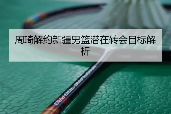 周琦解约新疆男篮潜在转会目标解析